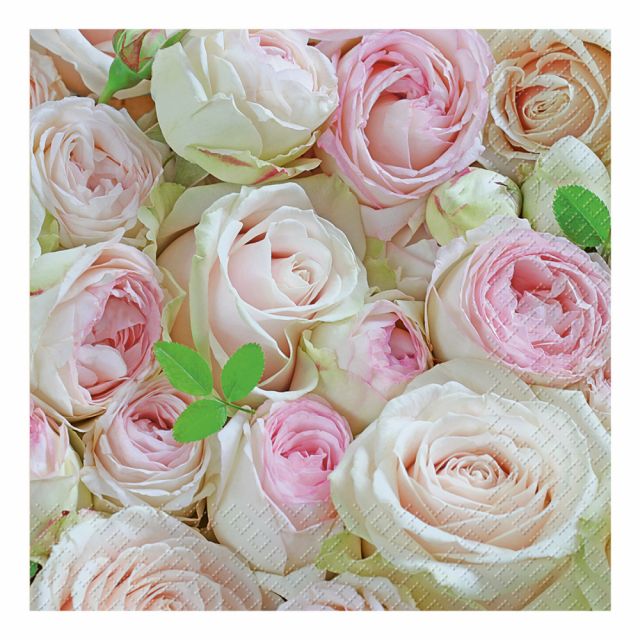 Servíettur Lova 33*33cm Stewo