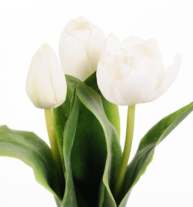 Gervi túlipani hvítur 36cm