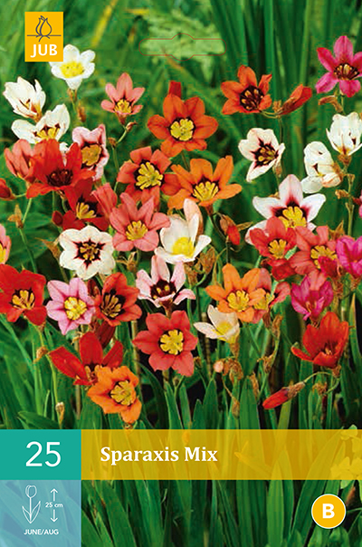 Sparaxis Mix 25stk.