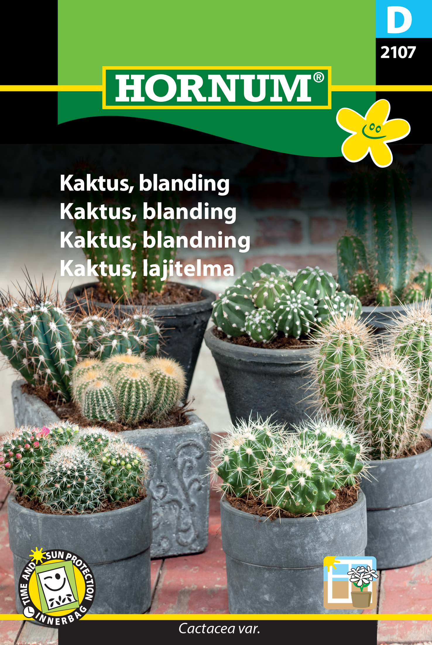 Fræ Kaktusar Cactacea var.