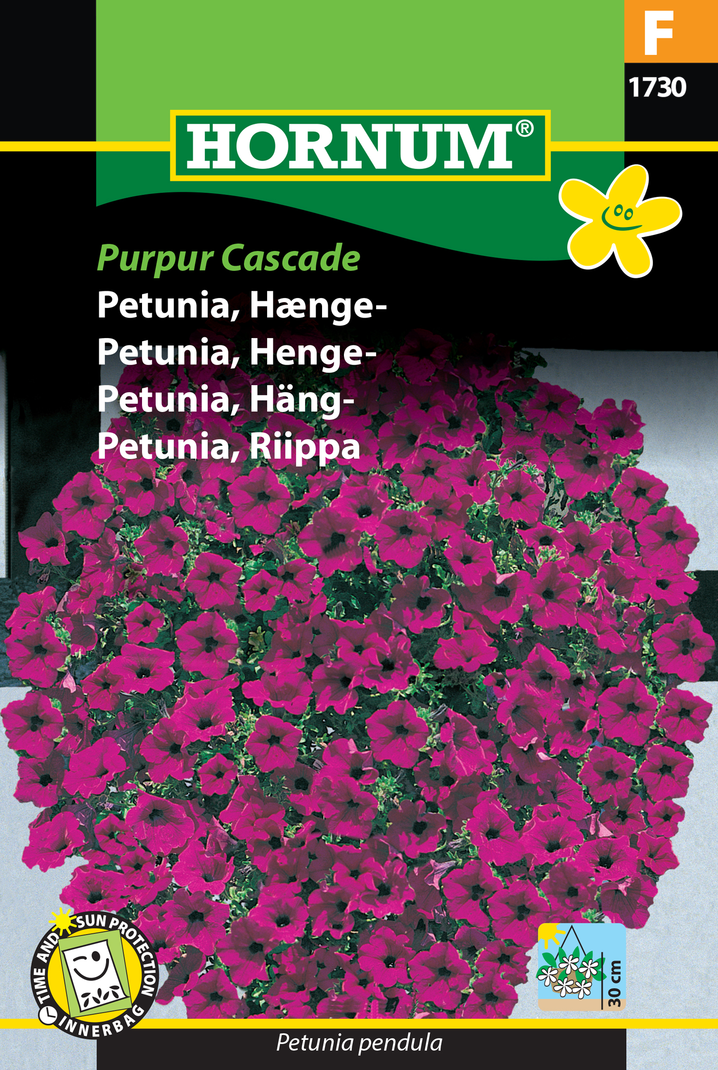 Fræ Tóbakshorn Petunia pendula Purpur Cascade