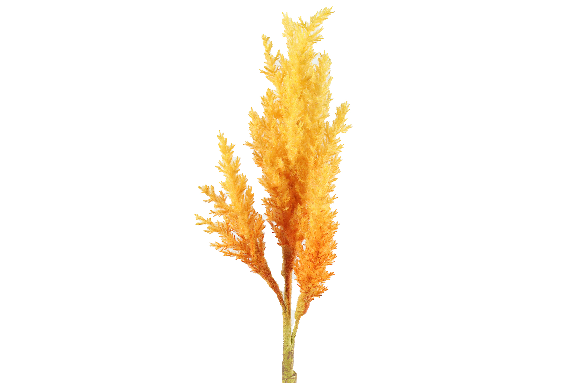 Gervi grein Astilbe gul