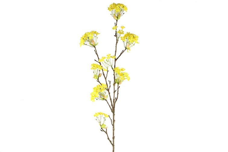 Gervi Cornus Mas 113cm gult