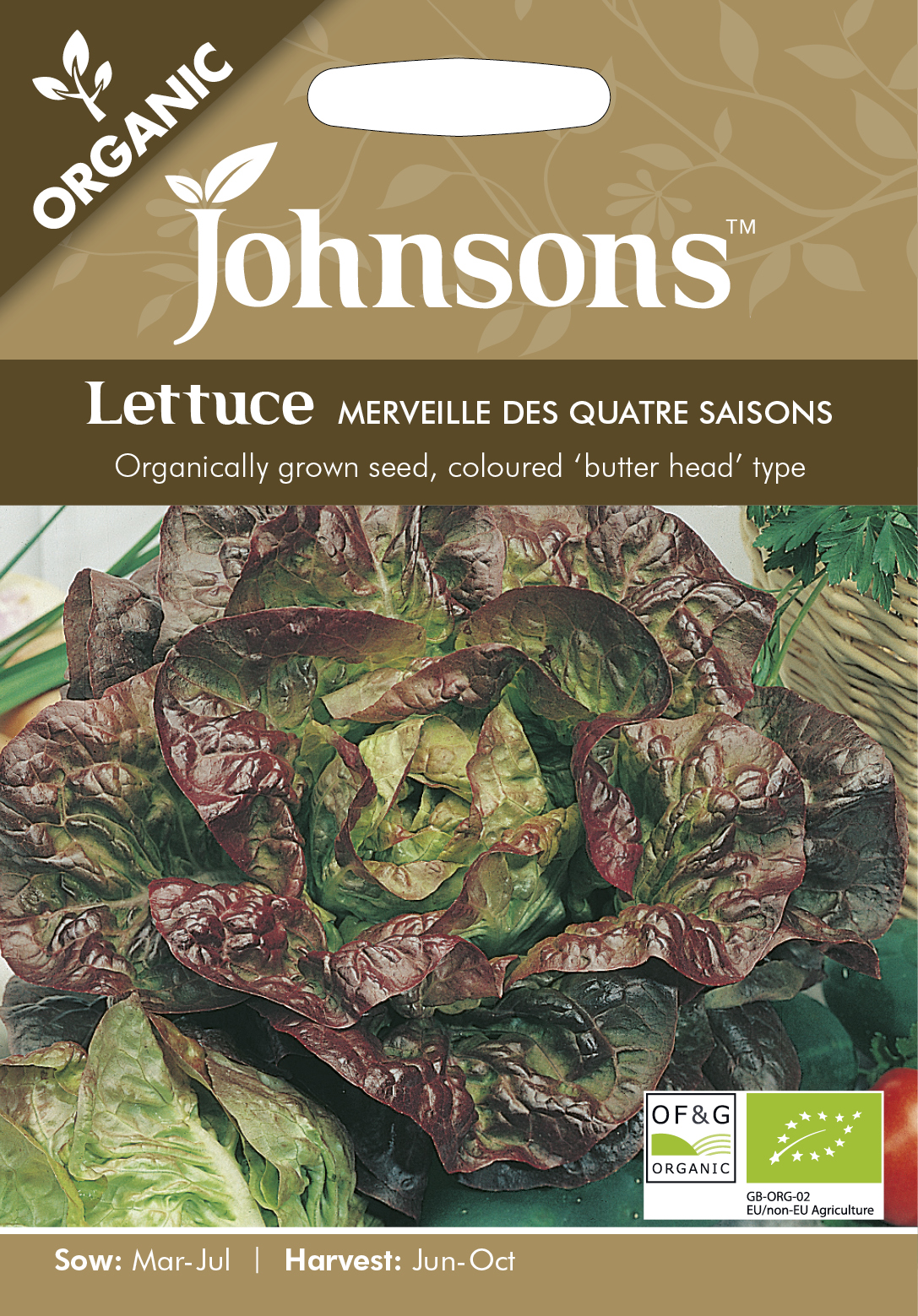 Fræ Lettuce Merveille Des Quatre Saisons Organic