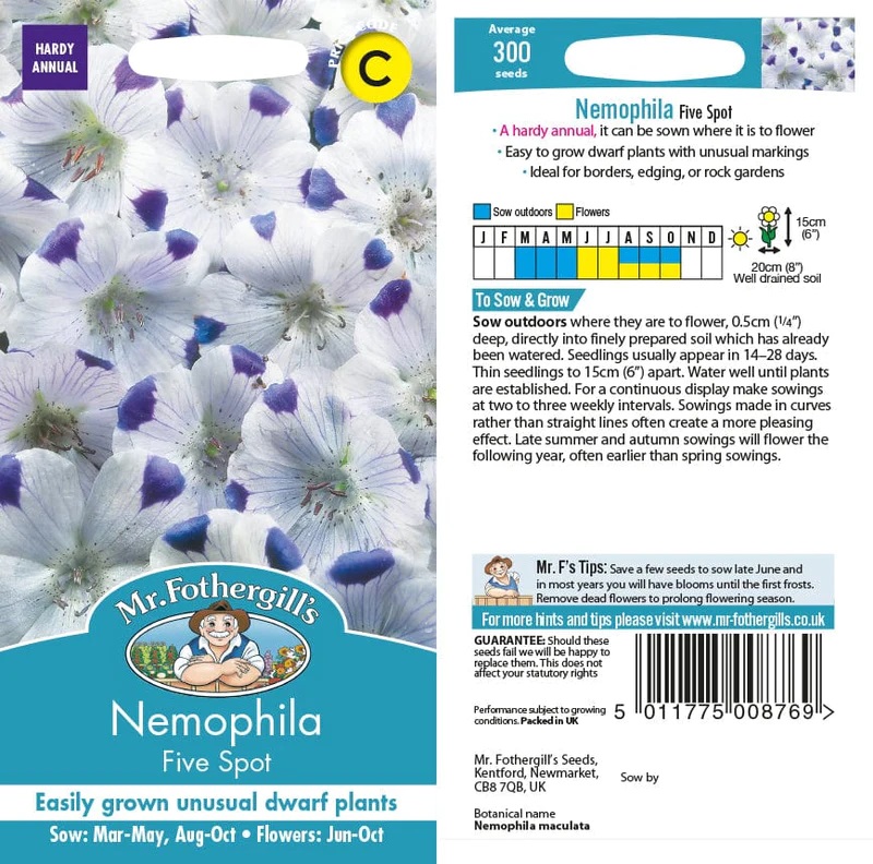 Fræ NEMOPHILA Five Spot