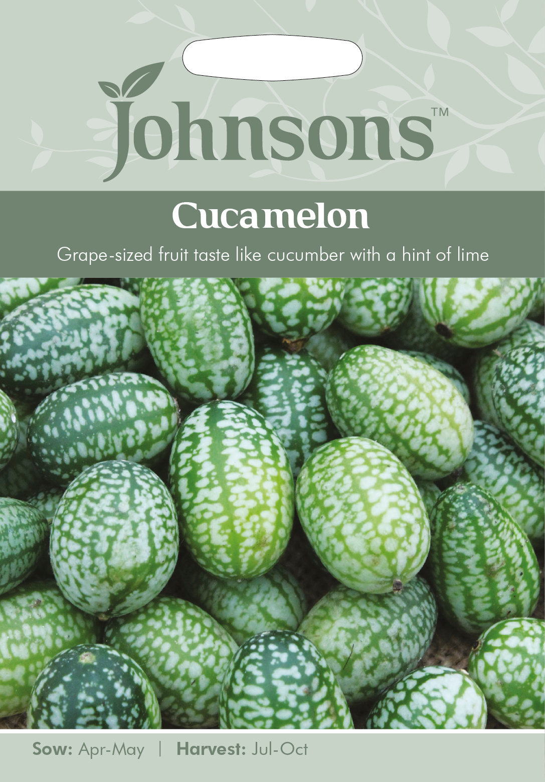 Fræ Cucamelon
