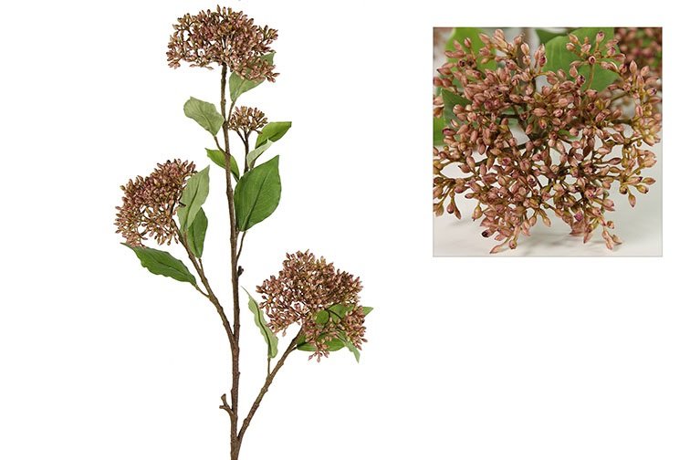 Gervi Organum vulgare Veer beige