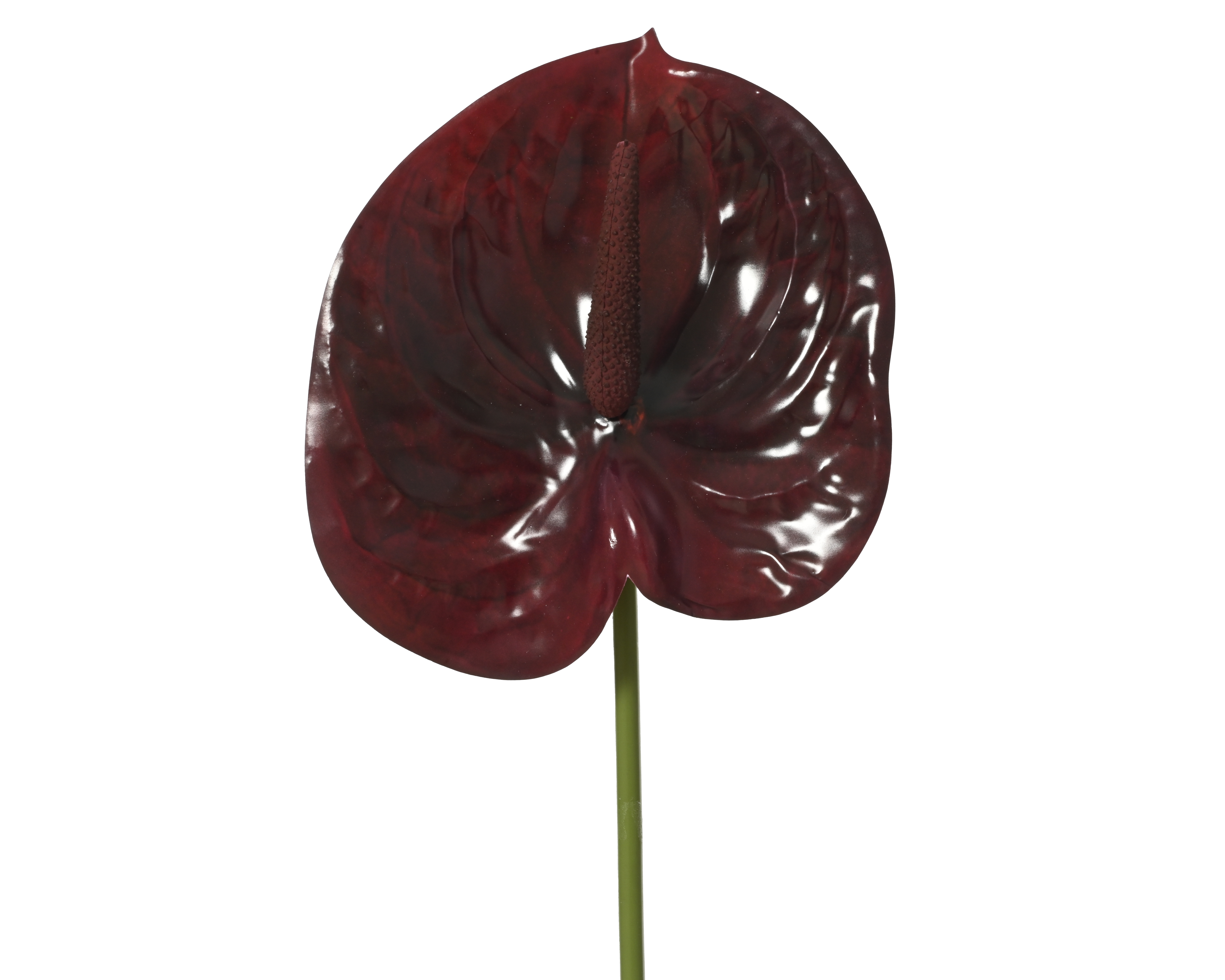 Gervi anthurium rauð 67cm