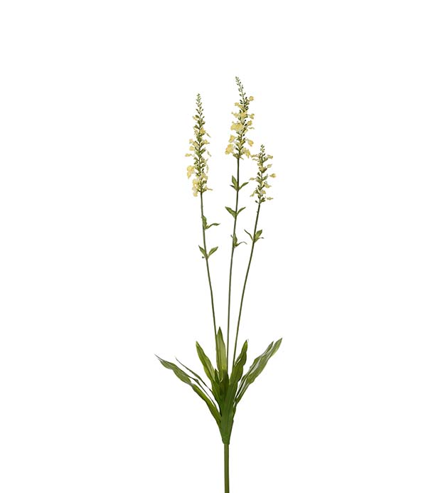 Gervi porslinsveronika 100cm gul