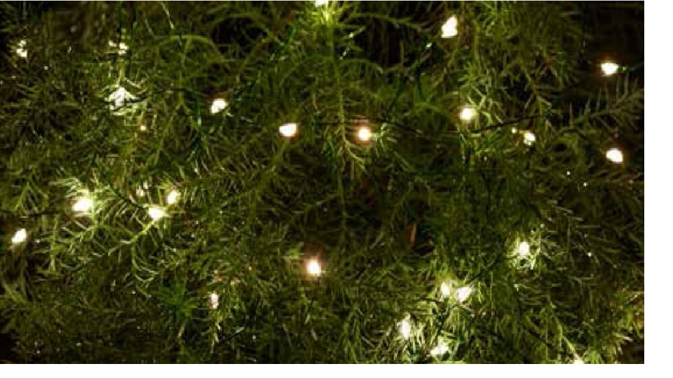 Rafhlöðusería 40micro LED úti hlýtt hvítt