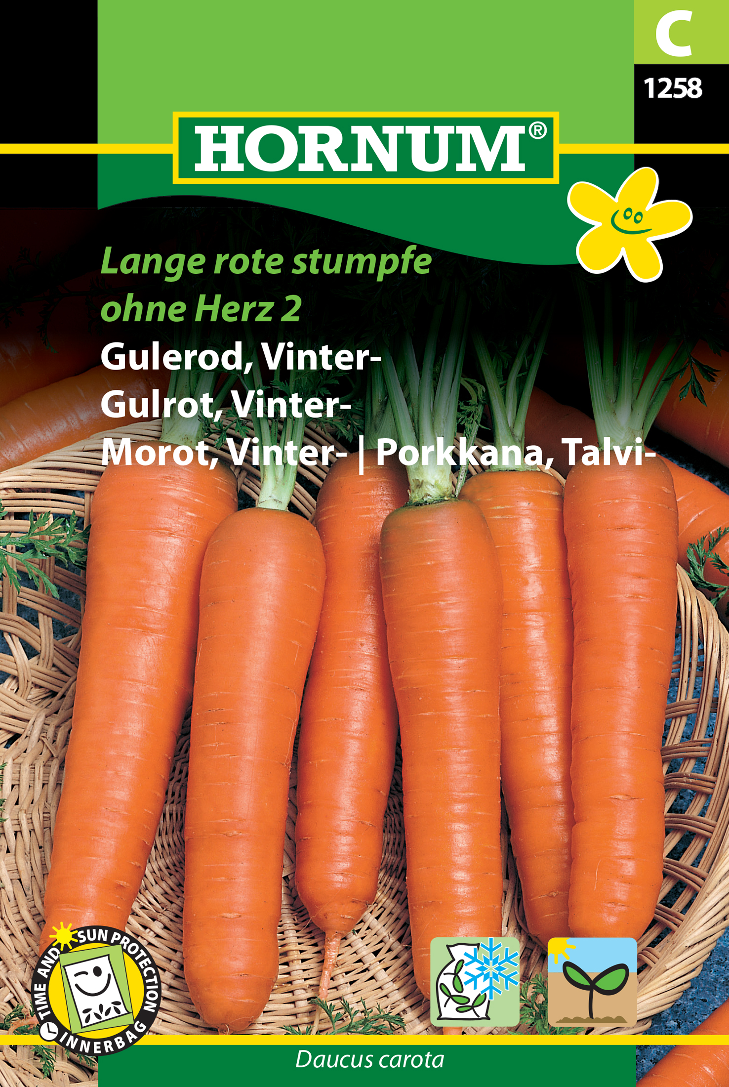 Fræ Gulrætur Daucus carota Lange rote red stumpfe ohn herz 2
