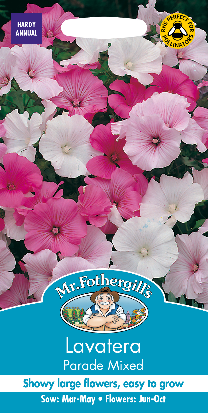 Fræ Lavatera Parade Mixed