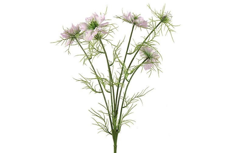 Gervi Cosmos bipinnatus Jalisha fjólublá