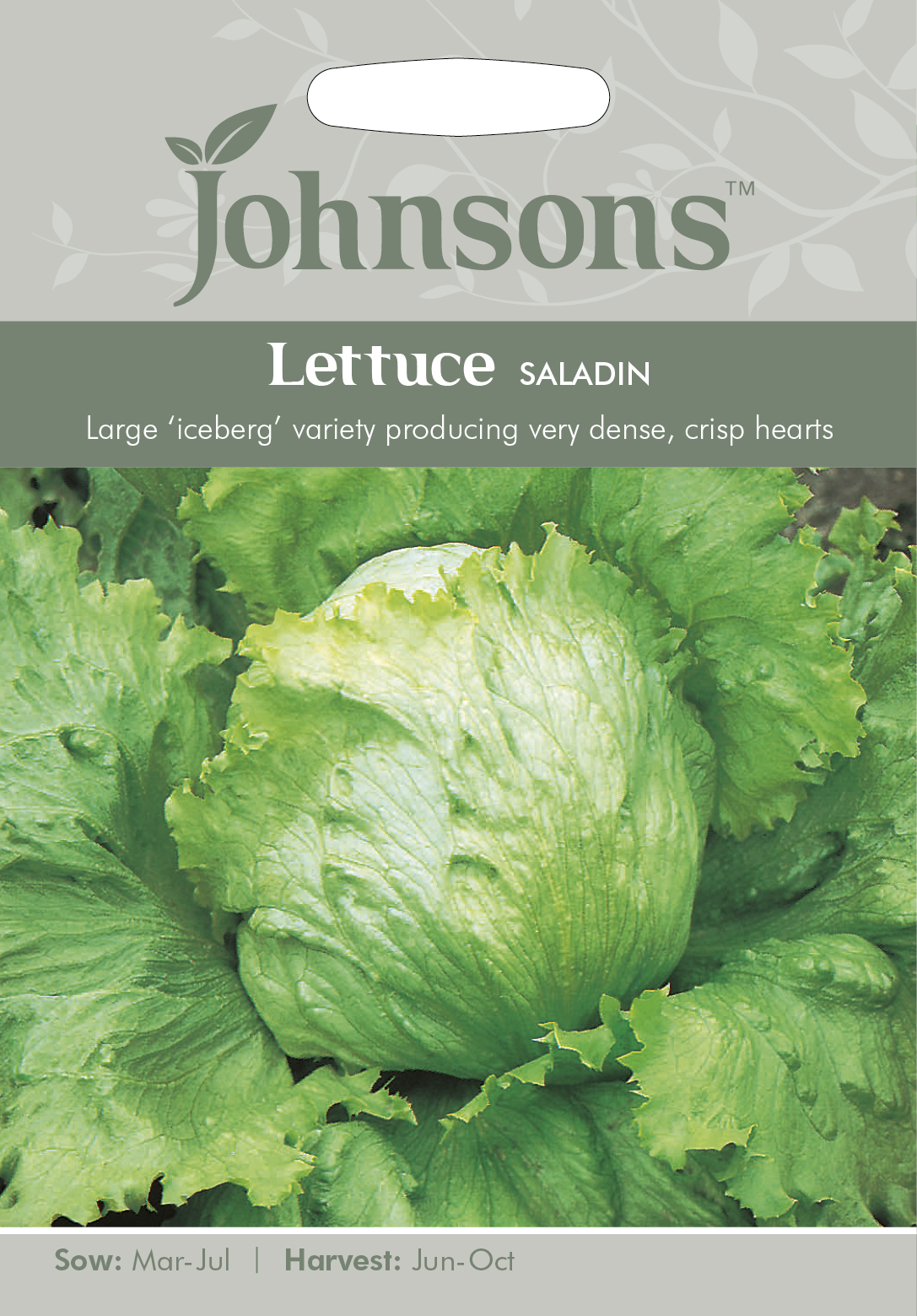 Fræ Lettuce Saladin