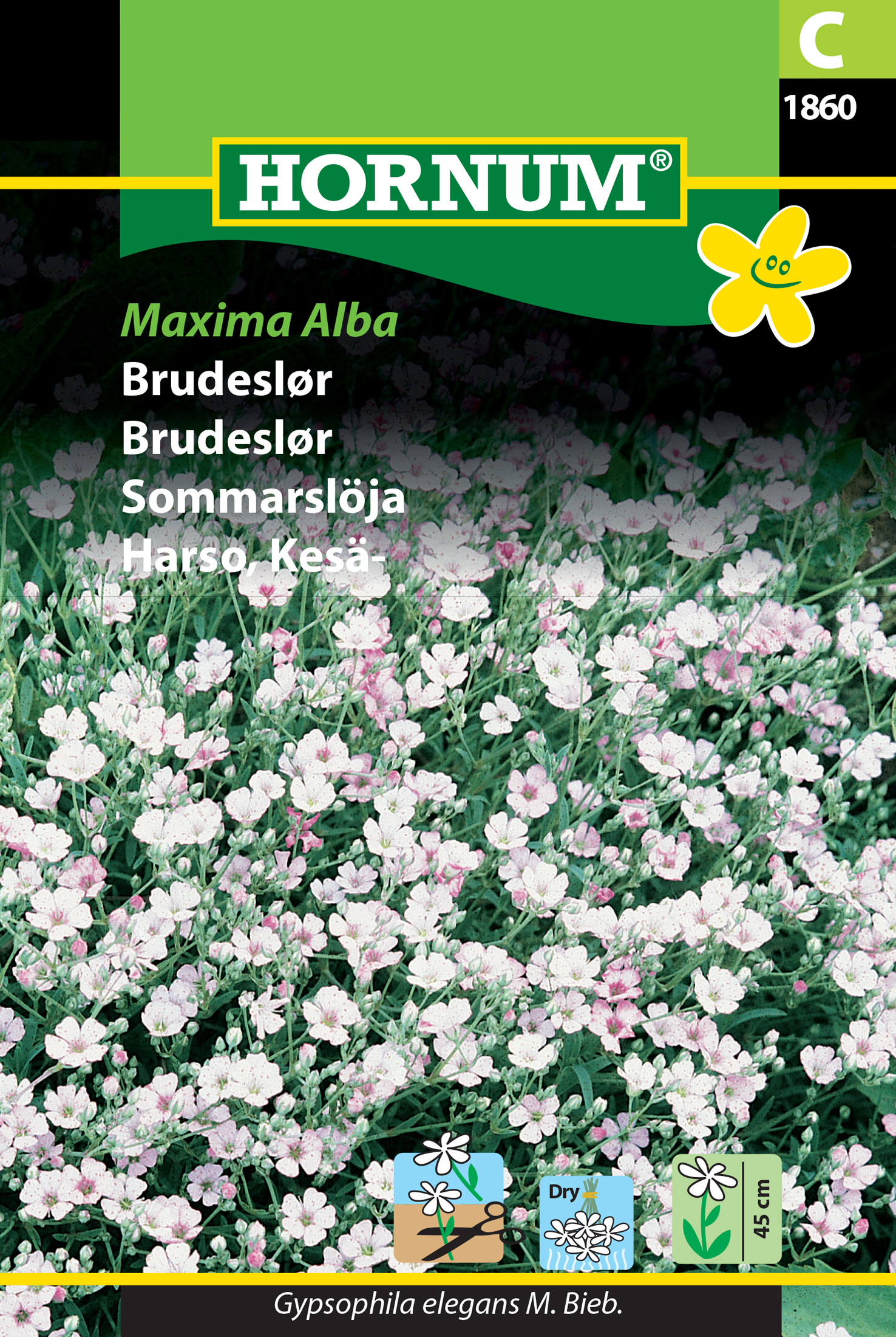 Fræ Brúðarslæða Gypsophila elegans M. Bieb. Maxima Alba