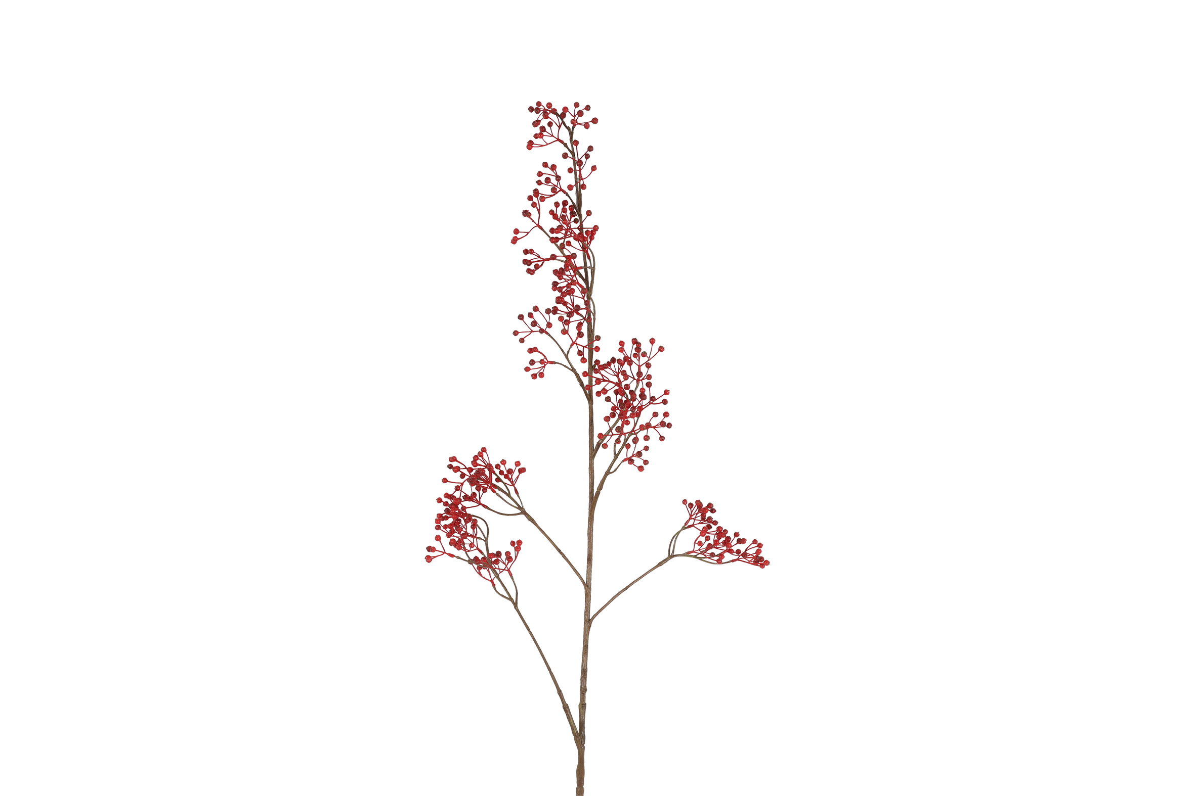 Gervi Ilex verticillate l rauð 122cm