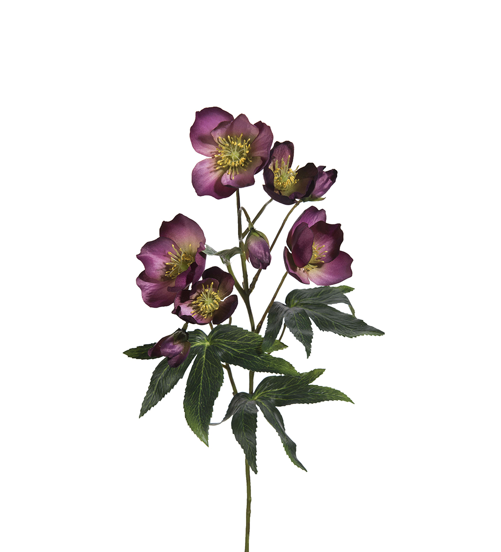 Gervi Clematis 57cm vínrauð