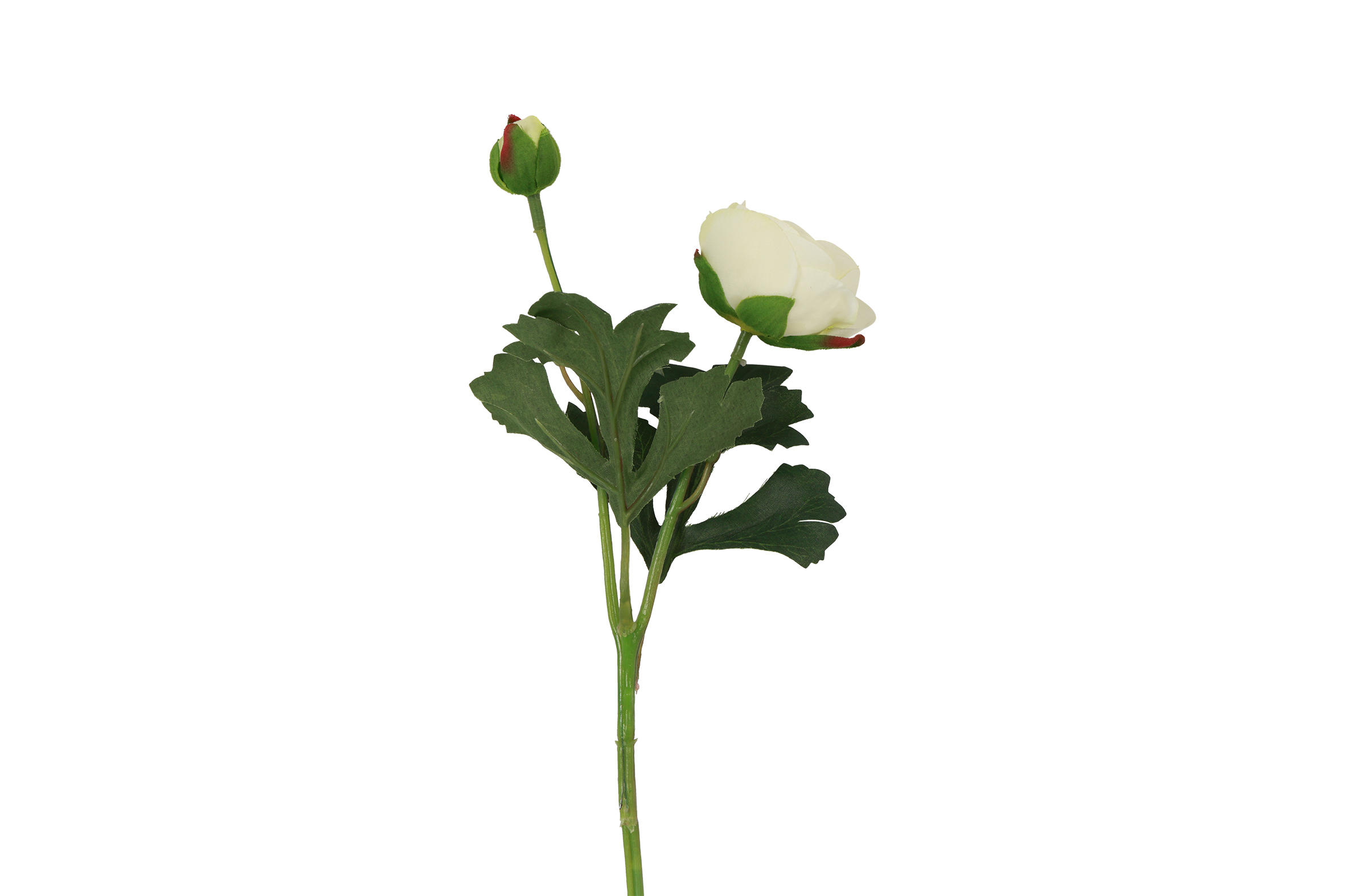 Gervi Ranunculus Isolde hvítt 34cm