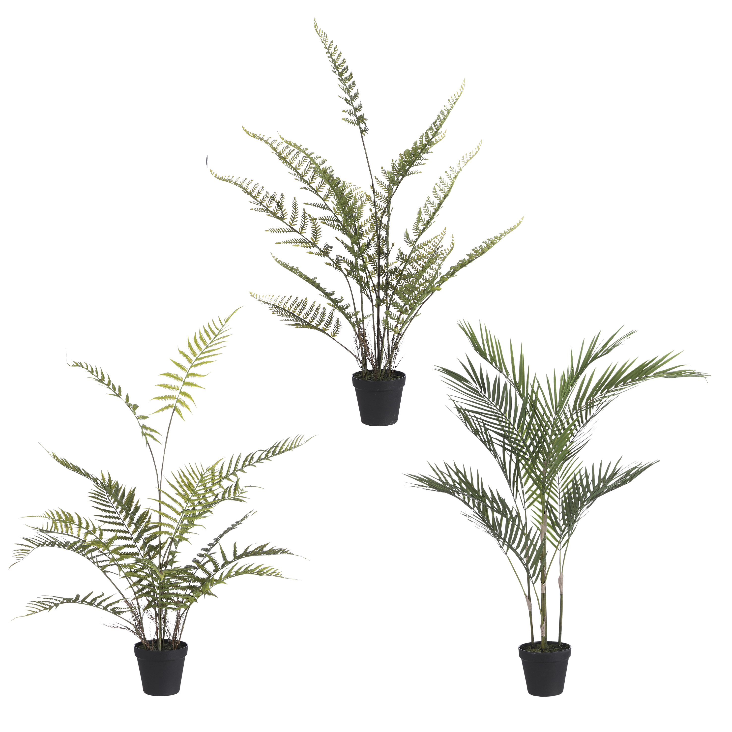 Pálmatré í potti grænt H91*50cm