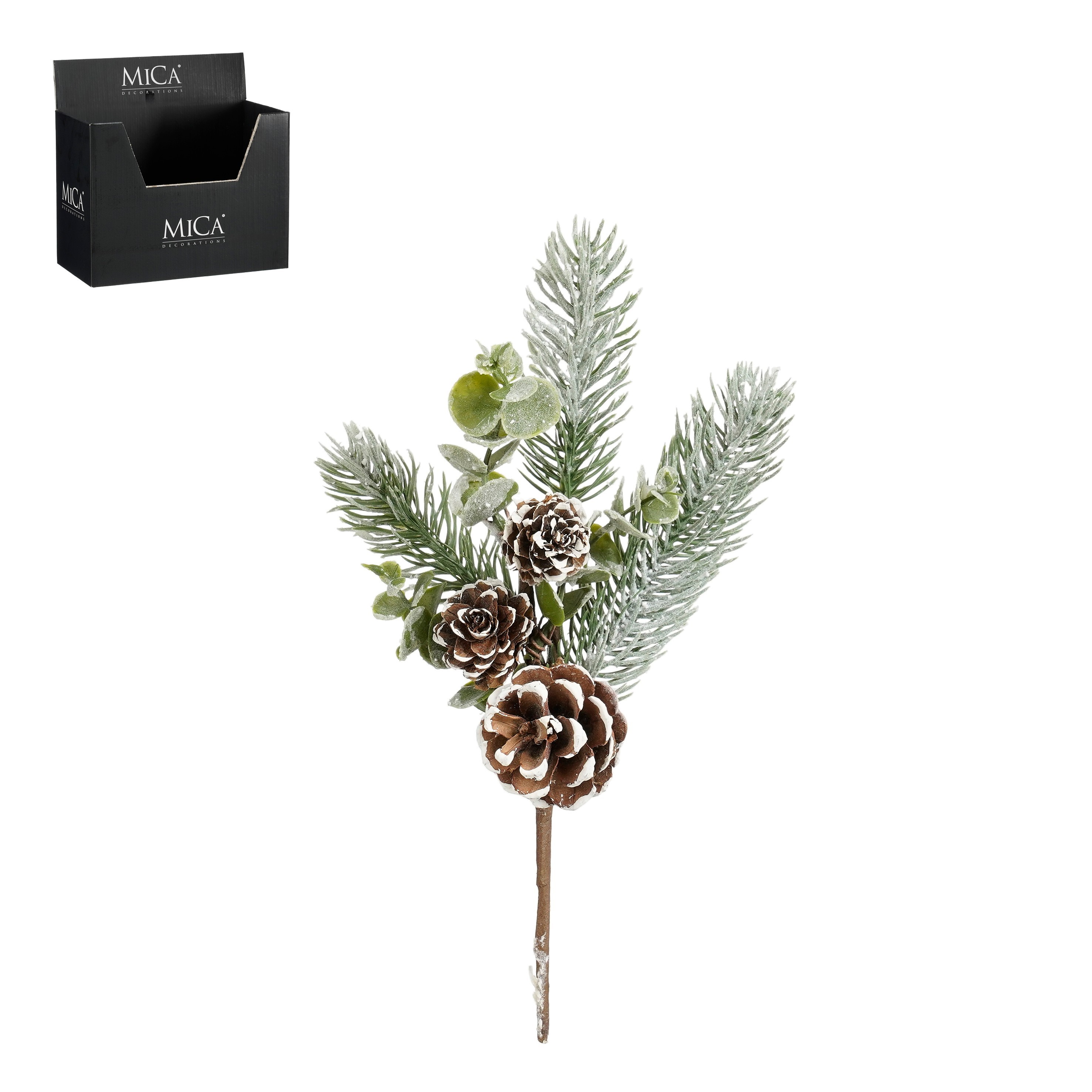 Grein með köngli 25cm