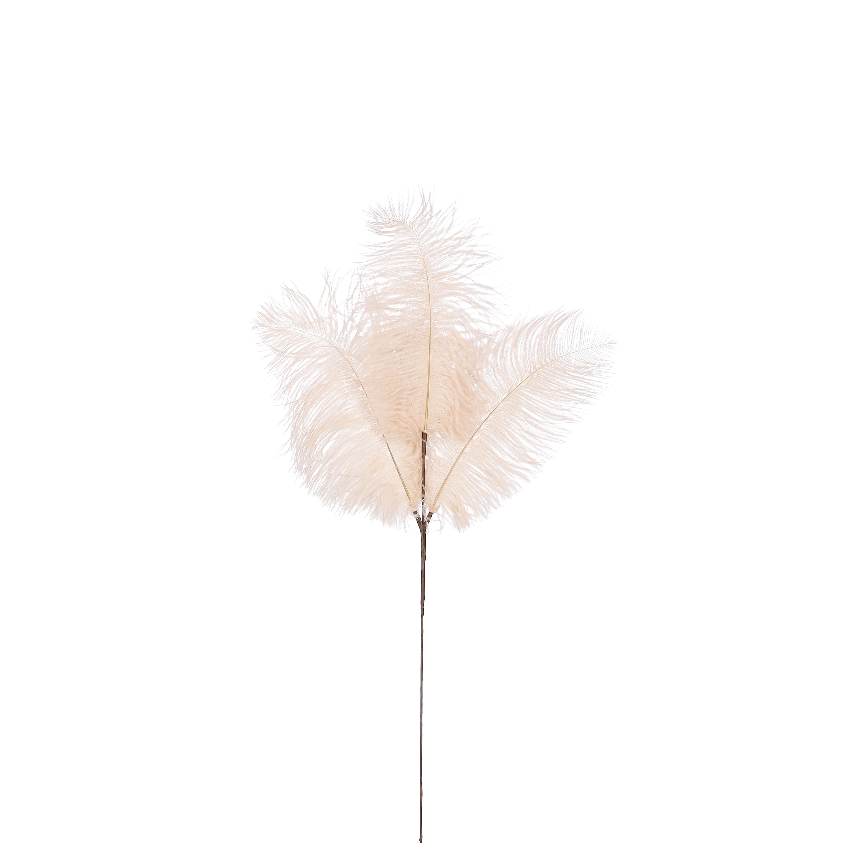 Fjöður kremhvít 61cm