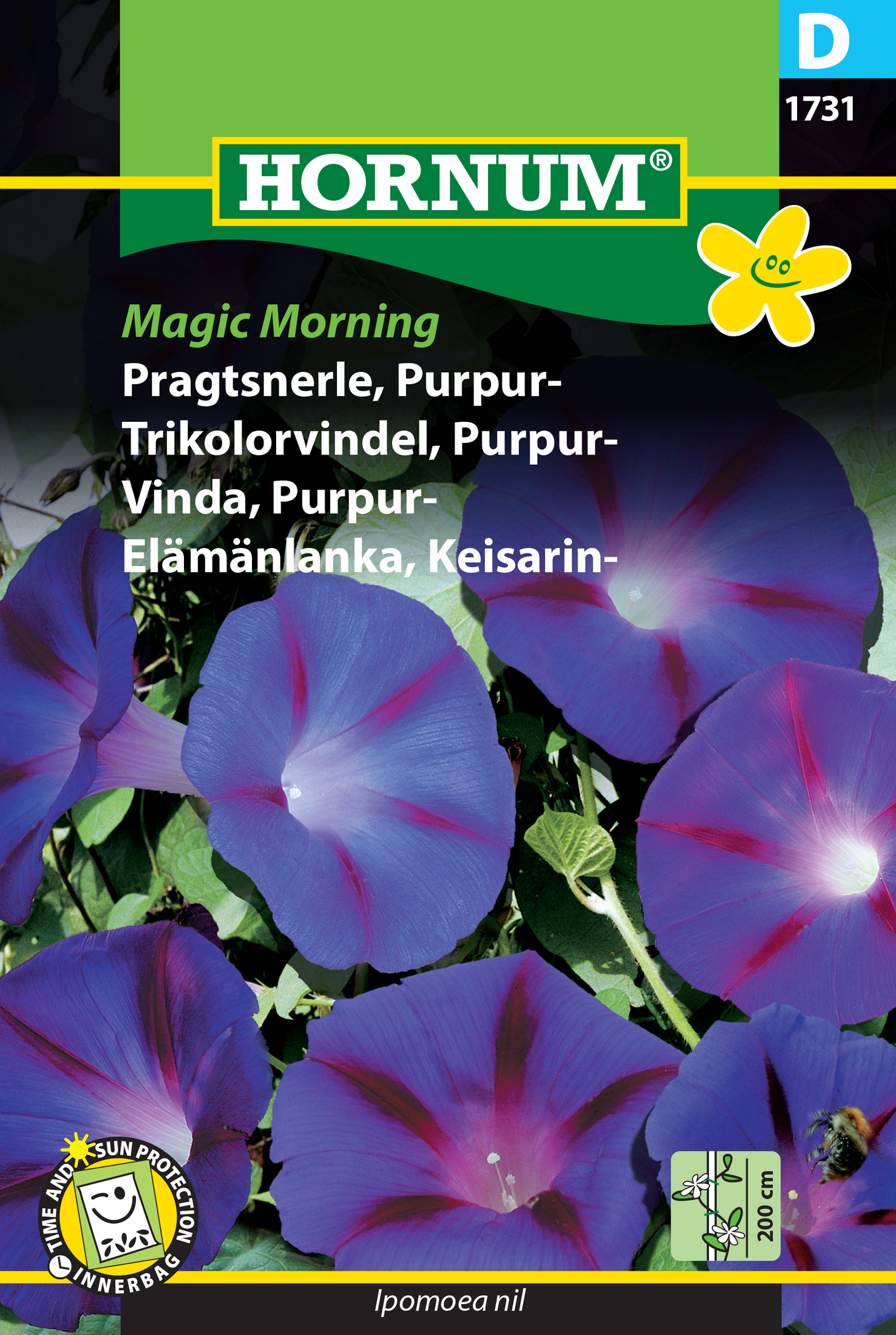 Fræ Klukkubróðir Ipomoea nil Magic Morning