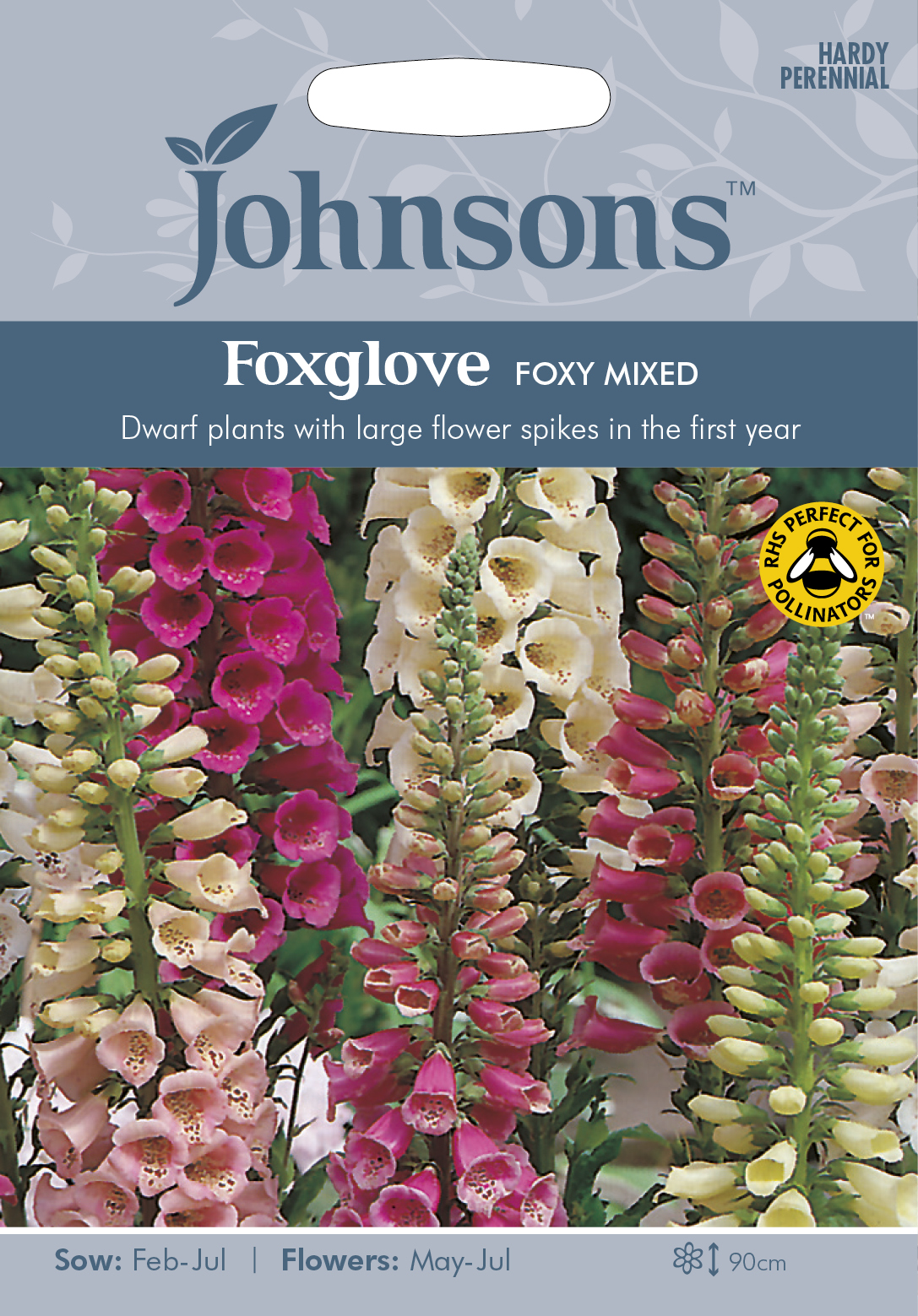 Fræ Foxglove Foxy Mixed