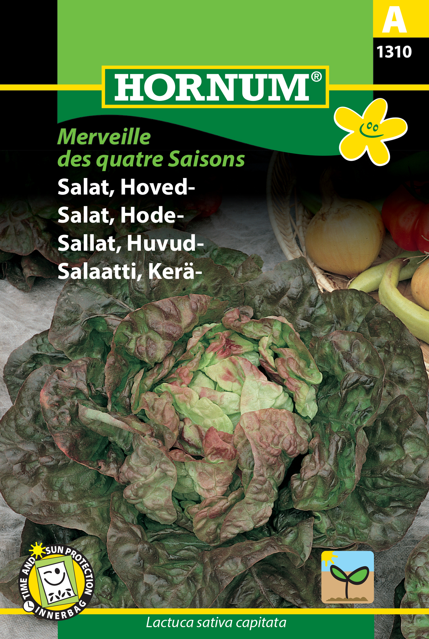 Fræ Höfuðsalat Lactuca sativa capitata Merveille des quatre