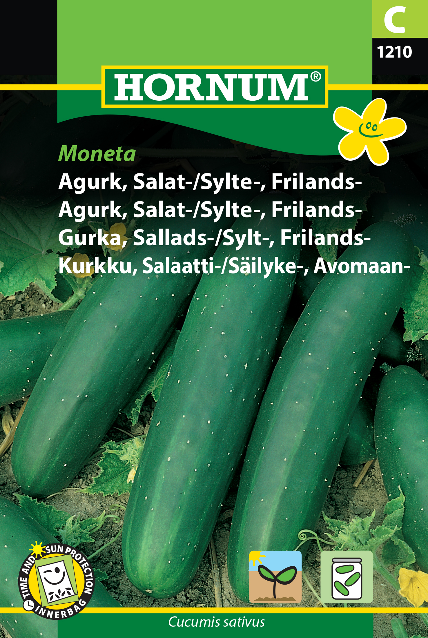 Fræ Agúrka Cucumis sativus Moneta
