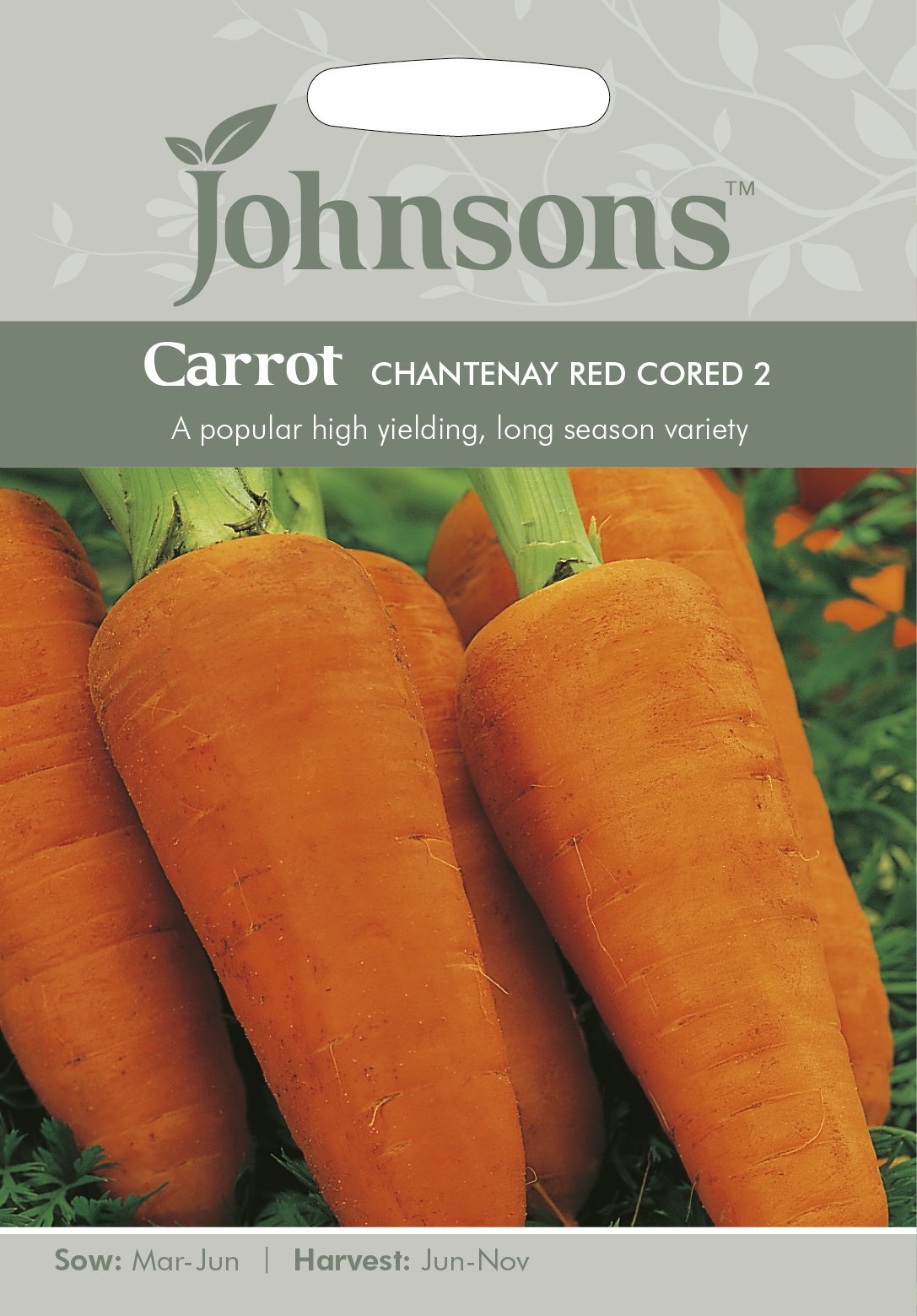 Fræ Carrot Chantenay Red Cored 2