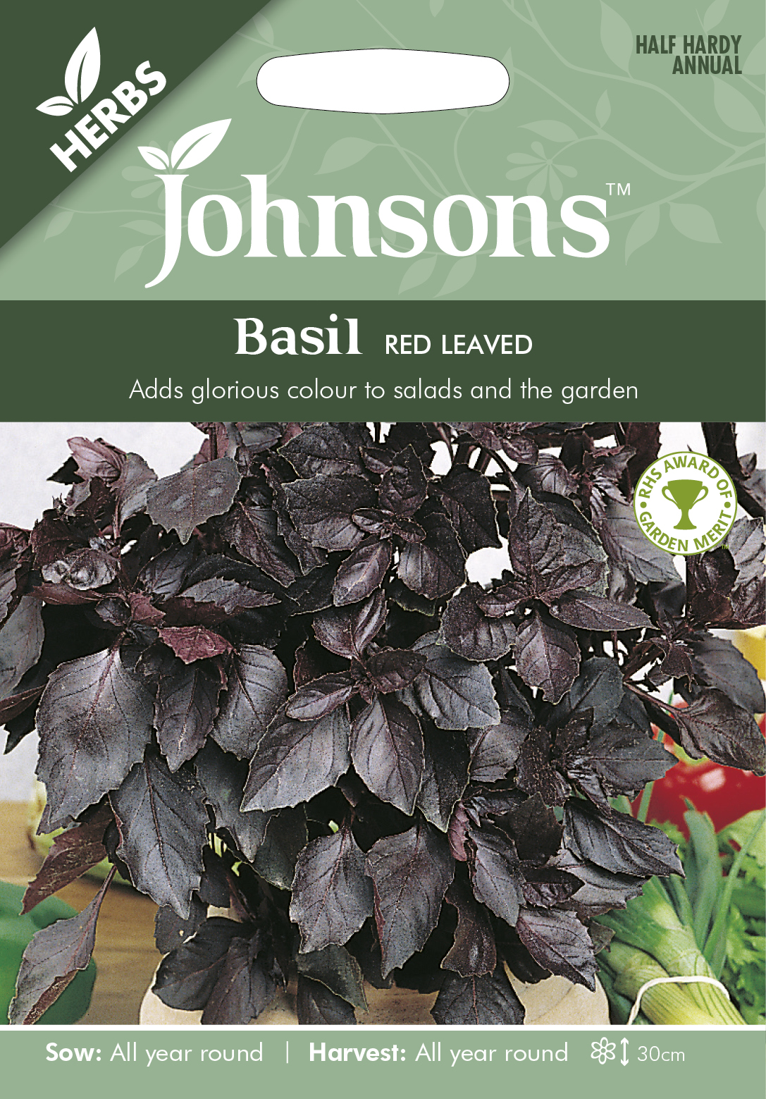 Fræ Basil Red Leaved