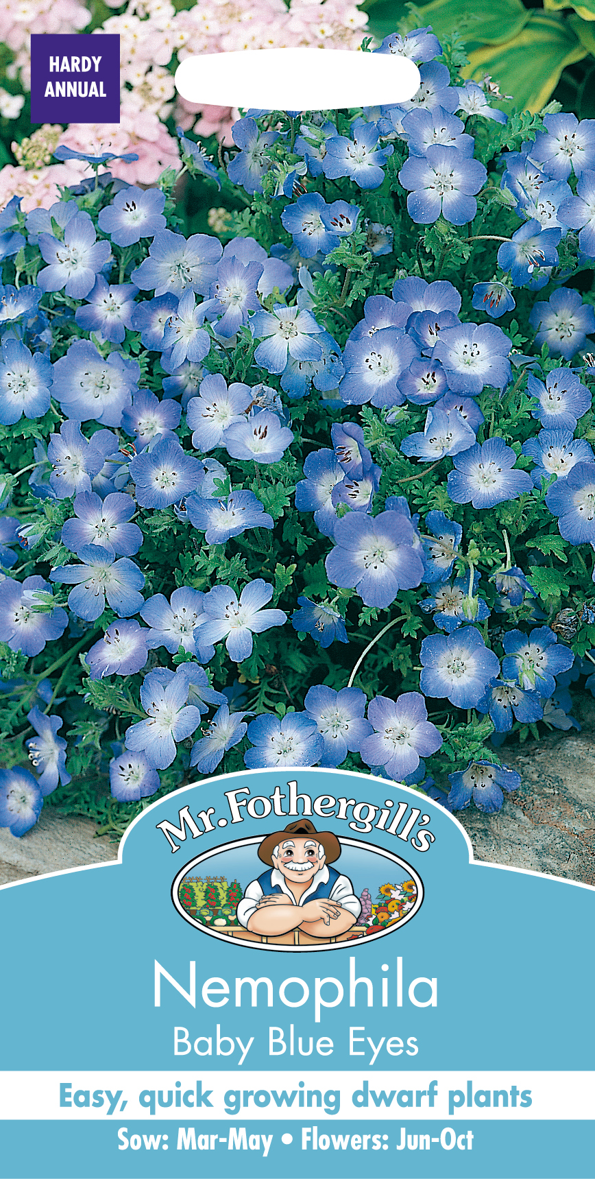 Fræ Nemophila Baby Blue Eyes