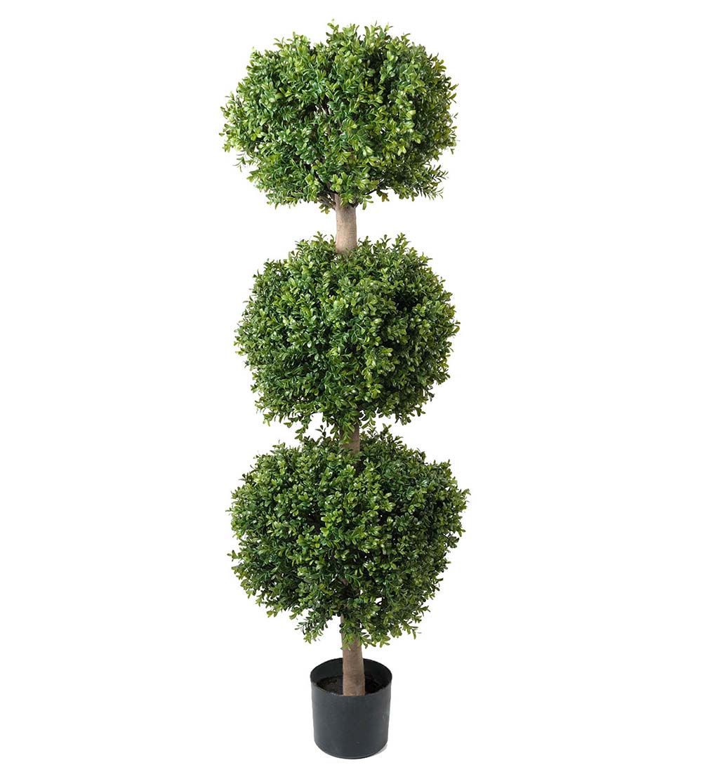 Gervi Buxbom 140cm í potti