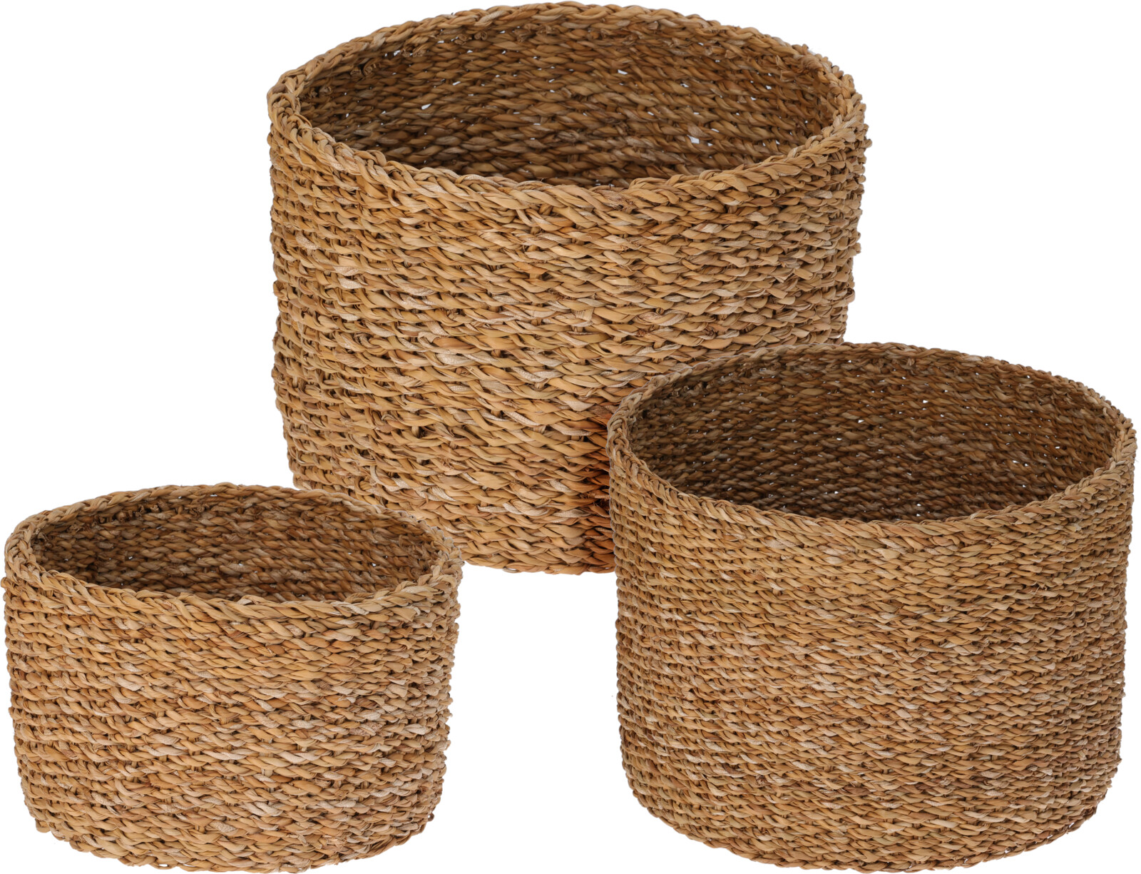 Karfa hringlaga seagrass miðstærð