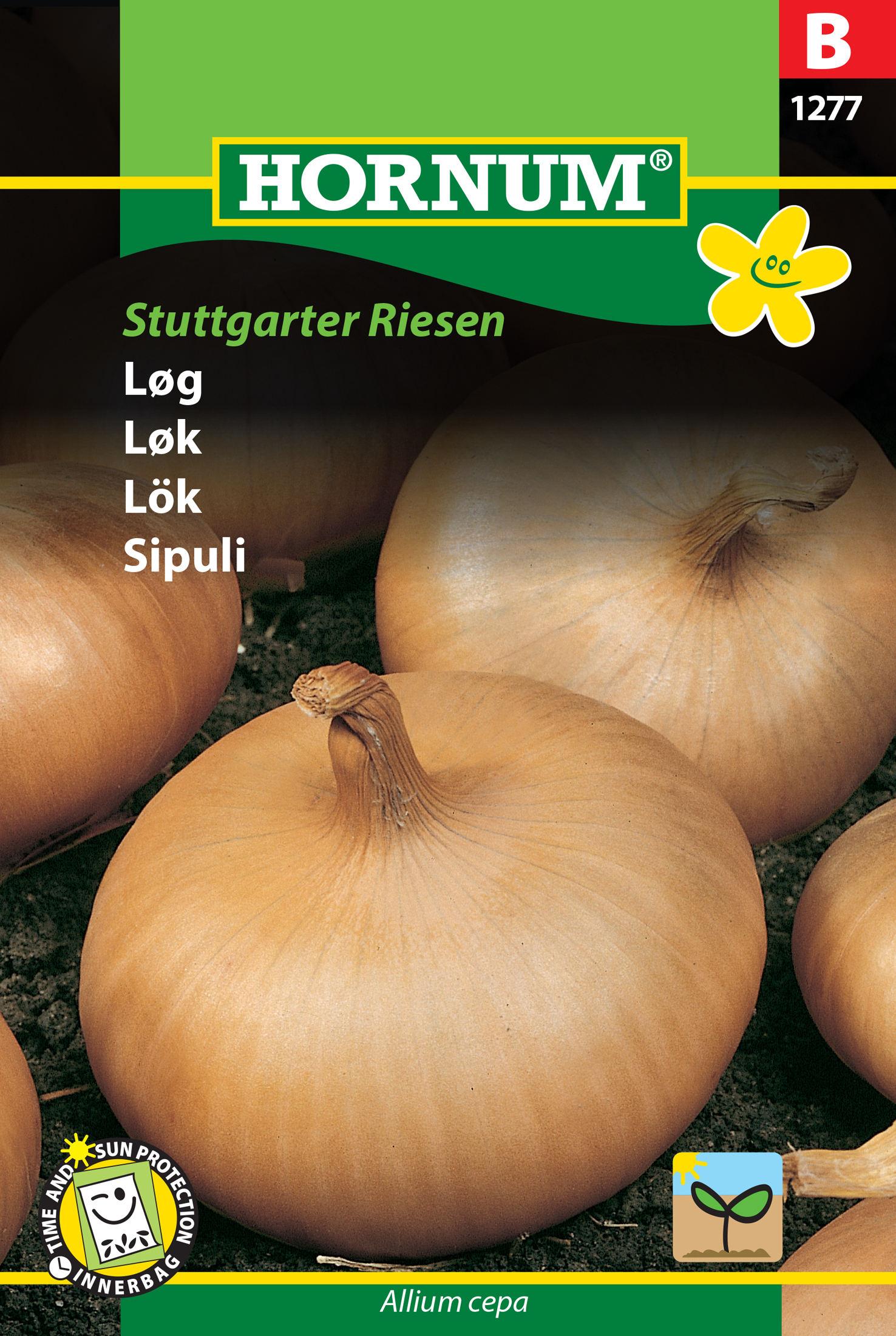 Fræ Hnattlaukur Allium cepa Stuttgarter Riesen