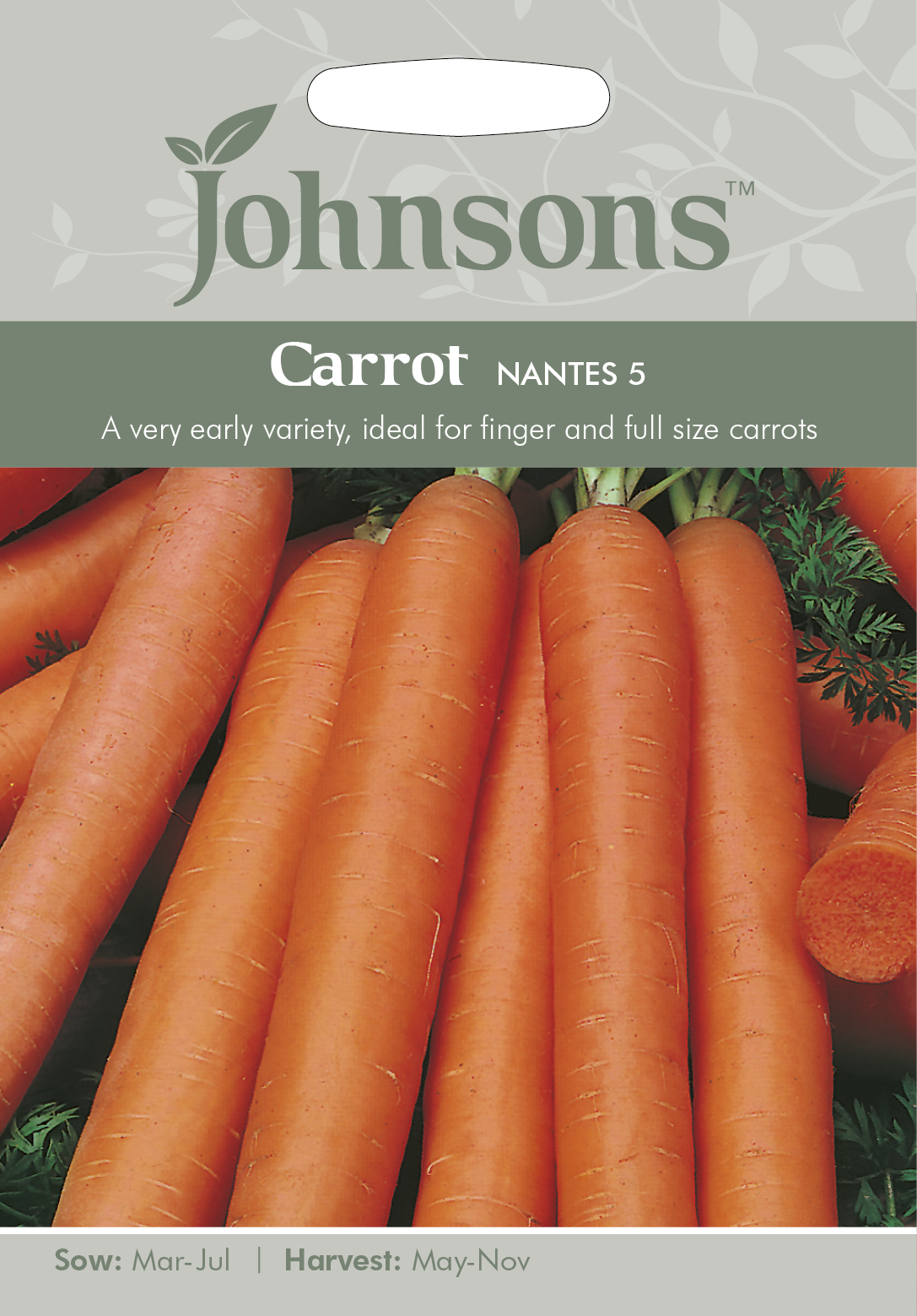 Fræ Carrot Nantes 5