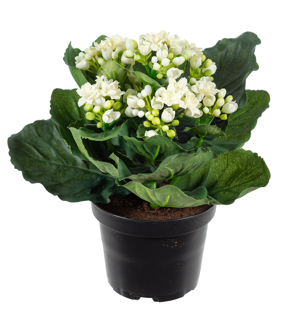 Gervi Ástareldur hvítur 20cm