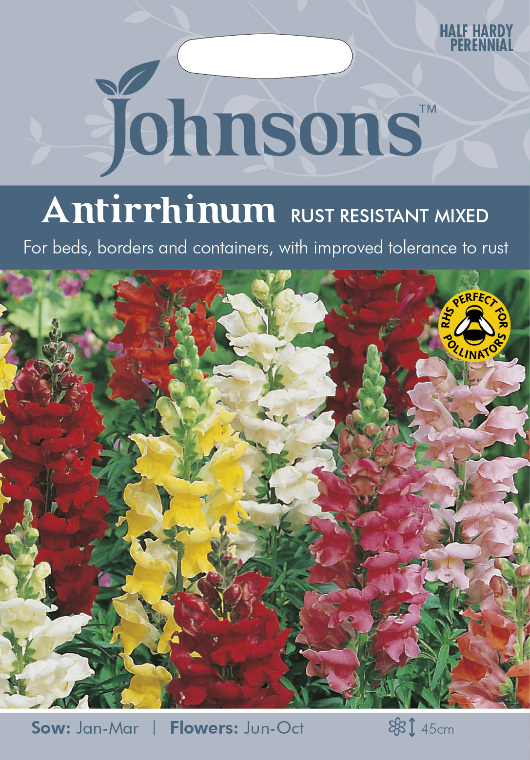 Fræ Antirrhinum Rust Resistant Mixed