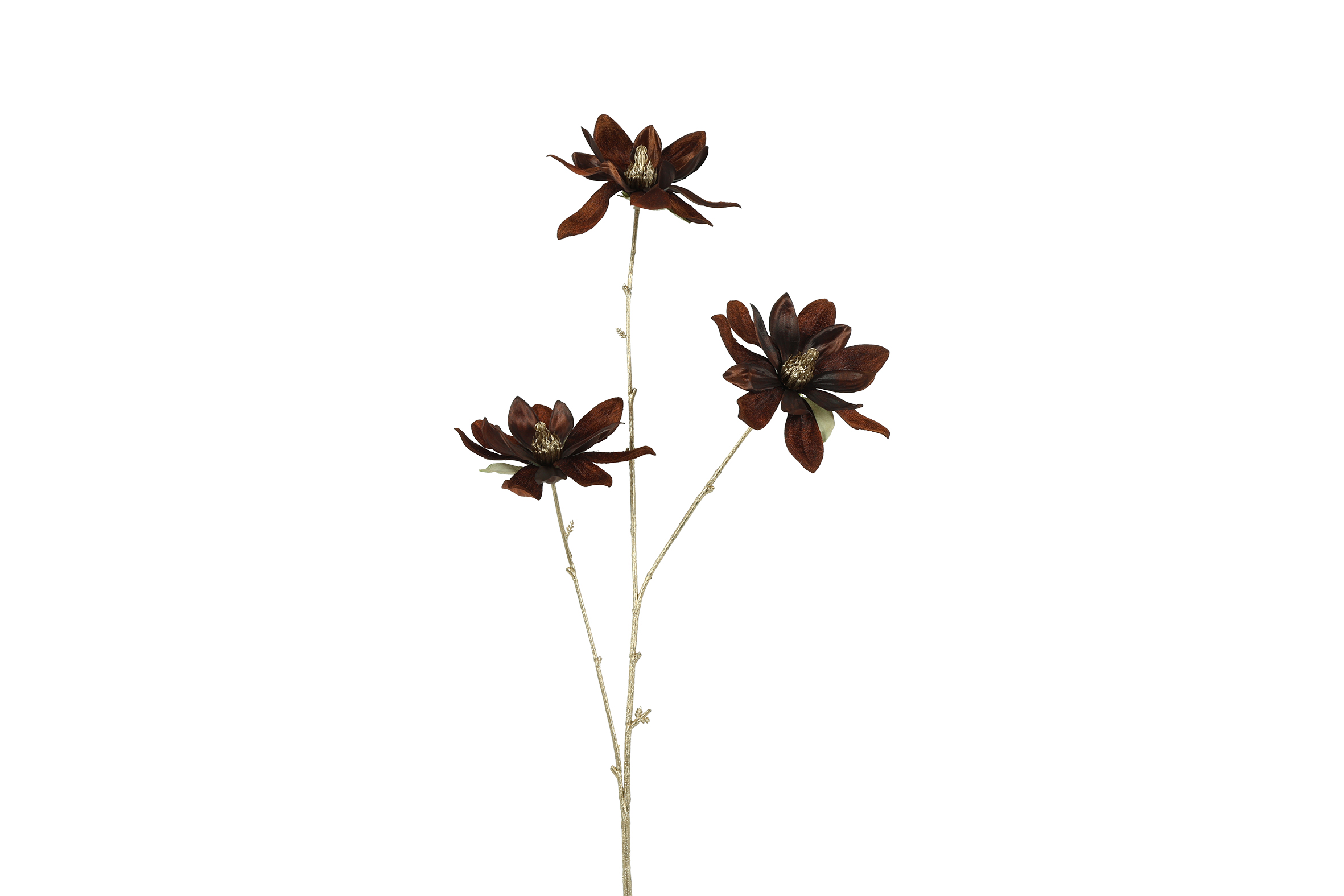 Gervi magnolia s brúnn/gyllt 81cm