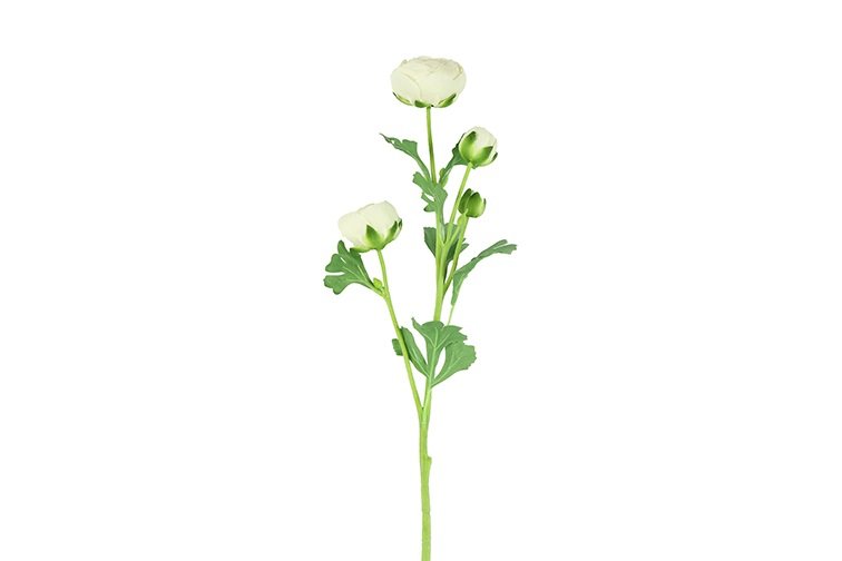 Gervi Ranunculus 66cm hvítur