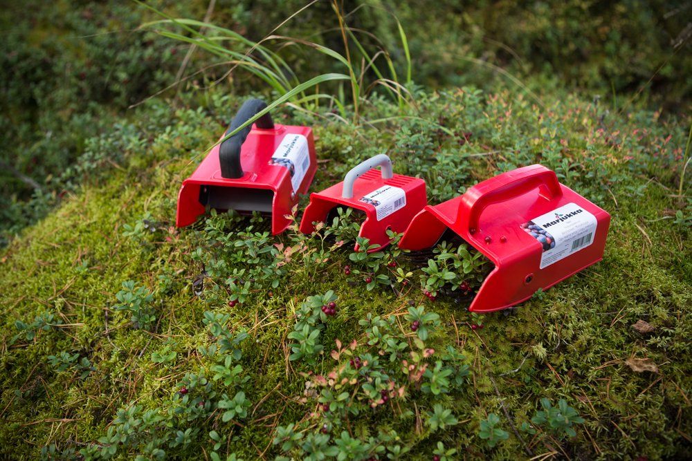 Berjatína með plast tindum